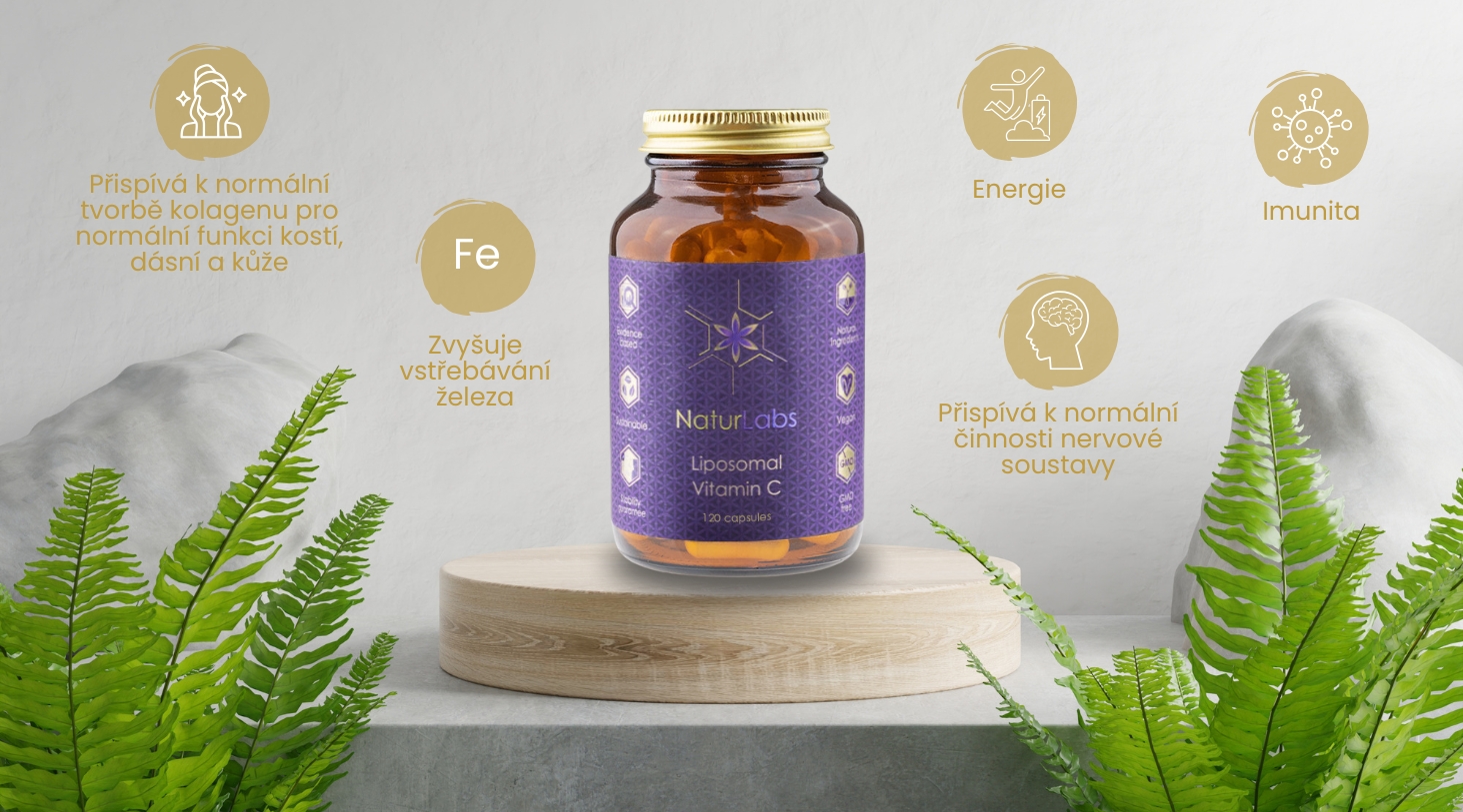 VITAMIN C LIPOSOMÁLNÍ